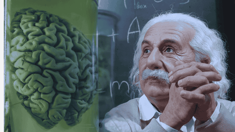 Neuro Energizer Brain